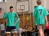 Obrázek v galerii