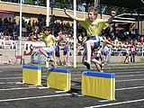 Obrázek v galerii