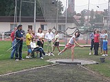 Obrázek v galerii