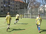 Obrázek v galerii