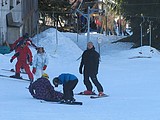 Obrázek v galerii