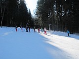 Obrázek v galerii