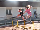 Obrázek v galerii