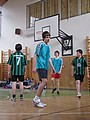 Obrázek v galerii