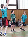 Obrázek v galerii