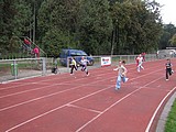 Obrázek v galerii