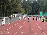 Obrázek v galerii