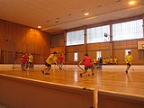 Obrázek v galerii