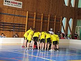 Obrázek v galerii