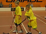 Obrázek v galerii