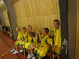 Obrázek v galerii