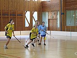 Obrázek v galerii
