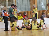 Obrázek v galerii