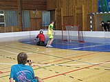 Obrázek v galerii