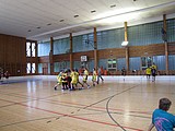 Obrázek v galerii