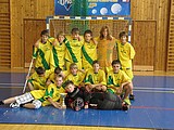 Obrázek v galerii