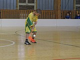 Obrázek v galerii