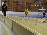 Obrázek v galerii