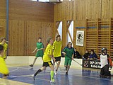 Obrázek v galerii