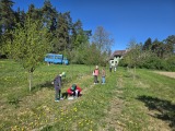 Obrázek v galerii