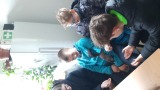 Obrázek v galerii