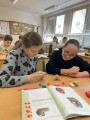 Obrázek v galerii