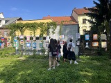 Obrázek v galerii