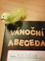 Abeceda Vánoc v III.A