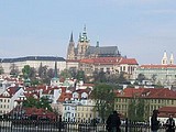 Obrázek v galerii