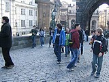Obrázek v galerii