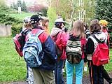 Obrázek v galerii