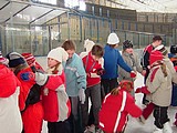 Obrázek v galerii