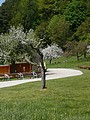 Obrázek v galerii