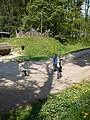 Obrázek v galerii