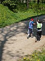 Obrázek v galerii
