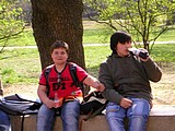 Obrázek v galerii