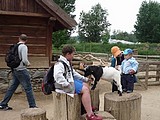 Obrázek v galerii