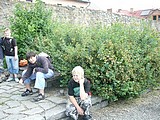 Obrázek v galerii