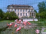 Obrázek v galerii