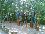 Obrázek v galerii