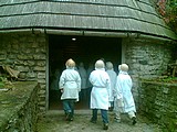 Obrázek v galerii