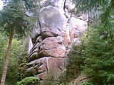 Obrázek v galerii