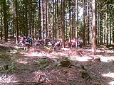 Obrázek v galerii