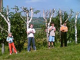 Obrázek v galerii