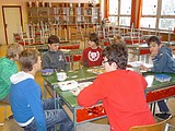 Obrázek v galerii