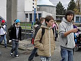 Obrázek v galerii