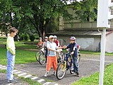 Obrázek v galerii