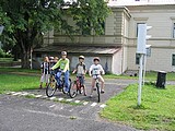 Obrázek v galerii