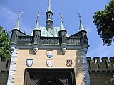 Obrázek v galerii