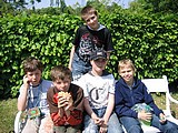 Obrázek v galerii
